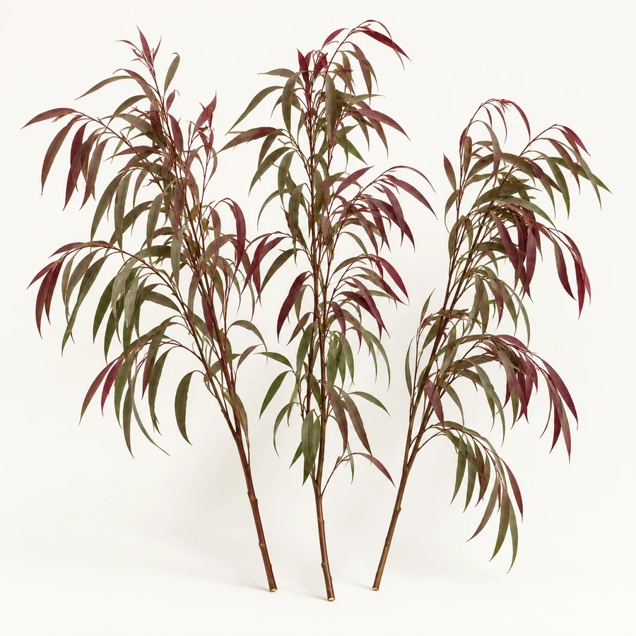 Red or green agonis