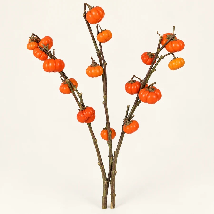 Pumpkin branches
