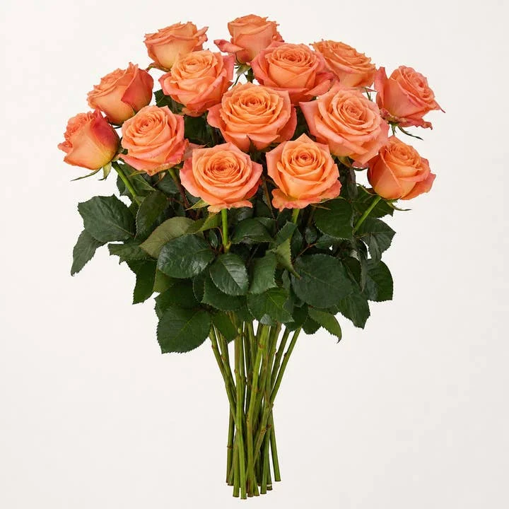 Kahala roses