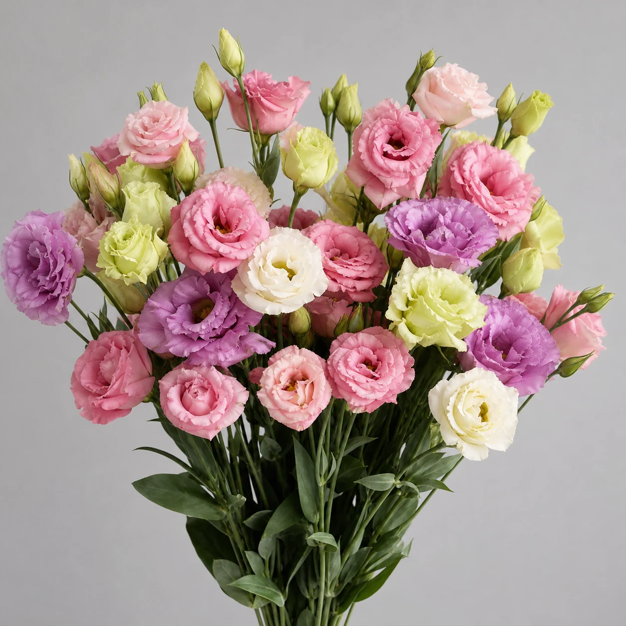Lisianthus