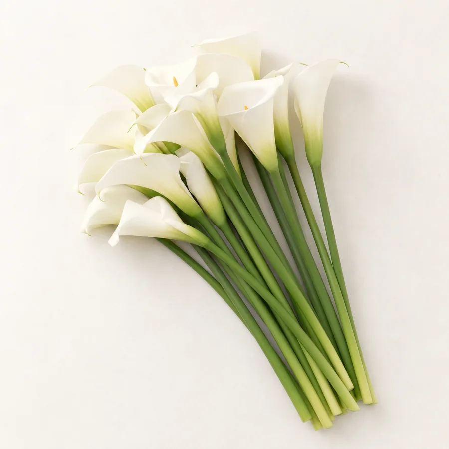 Large white callas